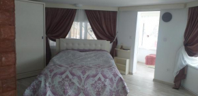 Vila Flory Voronet